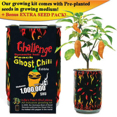 CHALLENGE SEEDS, PEACH GHOST CHILE Seeds