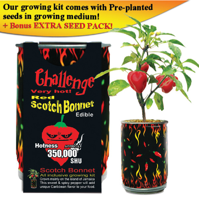CHALLENGE SEEDS, RED SCOTCH BONNET Seeds